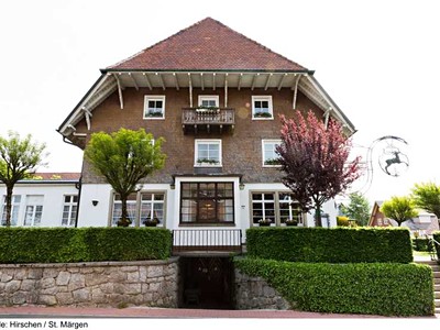 Der Hirschen